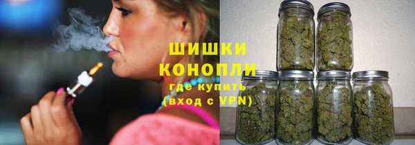 МДПВ Нея