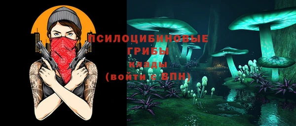 МДПВ Нея